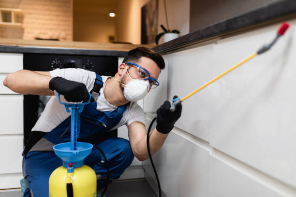 Best Ant Control Services  in Miami Lakes, FL