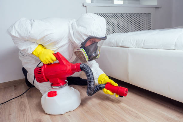 Best Flea Control Services  in Miami Lakes, FL